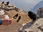 05 Dar da mangiare agli affamati